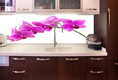 Kuchynská fototapeta - Fialová orchidea 24784